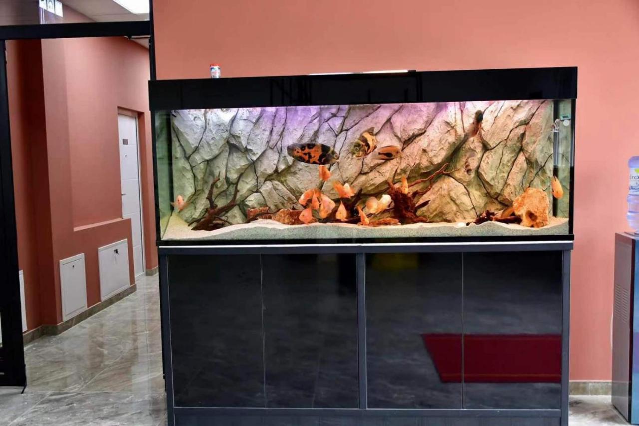 Asuka Apartmani 飞鸟客 Surčin Extérieur photo