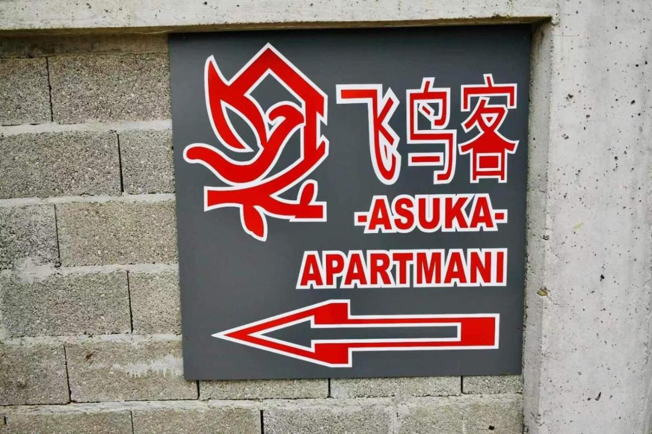 Asuka Apartmani 飞鸟客 Surčin Extérieur photo